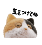 ネコねこ⑥ねむねむモード（個別スタンプ：16）