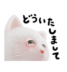 ネコねこ⑥ねむねむモード（個別スタンプ：17）