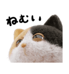 ネコねこ⑥ねむねむモード（個別スタンプ：20）