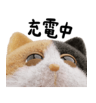 ネコねこ⑥ねむねむモード（個別スタンプ：24）