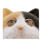 ネコねこ⑥ねむねむモード（個別スタンプ：34）