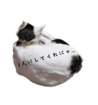 ミータとイクミーナ（個別スタンプ：1）
