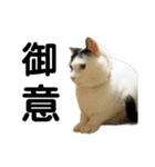 ミータとイクミーナ（個別スタンプ：19）