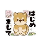 動く柴犬 2025 「春」（個別スタンプ：3）