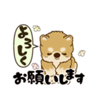 動く柴犬 2025 「春」（個別スタンプ：11）