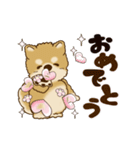 動く柴犬 2025 「春」（個別スタンプ：21）