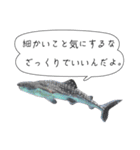 海のいきものたちからの教え（個別スタンプ：6）