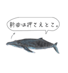 海のいきものたちからの教え（個別スタンプ：9）