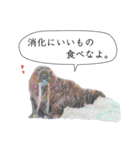 海のいきものたちからの教え（個別スタンプ：10）