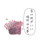 海のいきものたちからの教え（個別スタンプ：11）