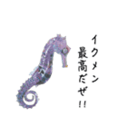海のいきものたちからの教え（個別スタンプ：15）