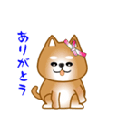 nobobi アニメ 元気で楽しそうな柴わんこ（個別スタンプ：1）