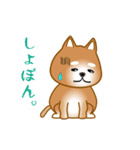 nobobi アニメ 元気で楽しそうな柴わんこ（個別スタンプ：4）