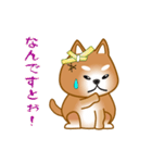 nobobi アニメ 元気で楽しそうな柴わんこ（個別スタンプ：8）