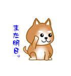 nobobi アニメ 元気で楽しそうな柴わんこ（個別スタンプ：11）