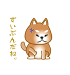 nobobi アニメ 元気で楽しそうな柴わんこ（個別スタンプ：12）