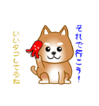 nobobi アニメ 元気で楽しそうな柴わんこ（個別スタンプ：16）