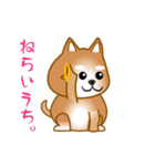 nobobi アニメ 元気で楽しそうな柴わんこ（個別スタンプ：17）