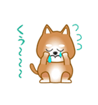 nobobi アニメ 元気で楽しそうな柴わんこ（個別スタンプ：19）