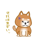 nobobi アニメ 元気で楽しそうな柴わんこ（個別スタンプ：20）