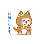 nobobi アニメ 元気で楽しそうな柴わんこ（個別スタンプ：21）