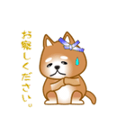 nobobi アニメ 元気で楽しそうな柴わんこ（個別スタンプ：22）