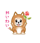 nobobi アニメ 元気で楽しそうな柴わんこ（個別スタンプ：23）