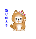 nobobi アニメ 元気で楽しそうな柴わんこ（個別スタンプ：24）