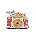 Ragamafin（個別スタンプ：1）