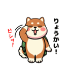 カメ柴#家族で使える日常会話（個別スタンプ：9）