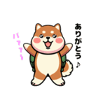 カメ柴#家族で使える日常会話（個別スタンプ：10）