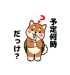 カメ柴#家族で使える日常会話（個別スタンプ：15）