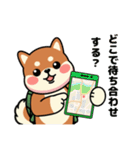 カメ柴#家族で使える日常会話（個別スタンプ：16）