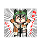 カメ柴#家族で使える日常会話（個別スタンプ：17）