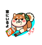 カメ柴#家族で使える日常会話（個別スタンプ：20）