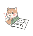 カメ柴#家族で使える日常会話（個別スタンプ：21）
