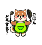 カメ柴#家族で使える日常会話（個別スタンプ：22）