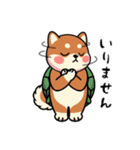 カメ柴#家族で使える日常会話（個別スタンプ：24）