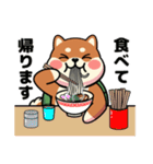 カメ柴#家族で使える日常会話（個別スタンプ：25）