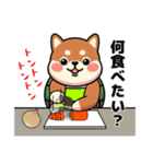 カメ柴#家族で使える日常会話（個別スタンプ：27）