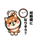 カメ柴#家族で使える日常会話（個別スタンプ：28）