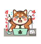 カメ柴#家族で使える日常会話（個別スタンプ：30）