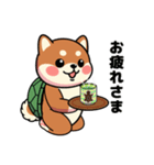 カメ柴#家族で使える日常会話（個別スタンプ：31）