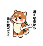 カメ柴#家族で使える日常会話（個別スタンプ：33）