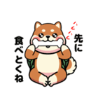 カメ柴#家族で使える日常会話（個別スタンプ：34）