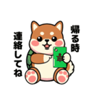 カメ柴#家族で使える日常会話（個別スタンプ：35）