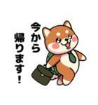 カメ柴#家族で使える日常会話（個別スタンプ：36）