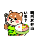 カメ柴#家族で使える日常会話（個別スタンプ：38）