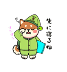 カメ柴#家族で使える日常会話（個別スタンプ：39）