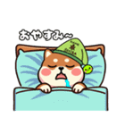 カメ柴#家族で使える日常会話（個別スタンプ：40）